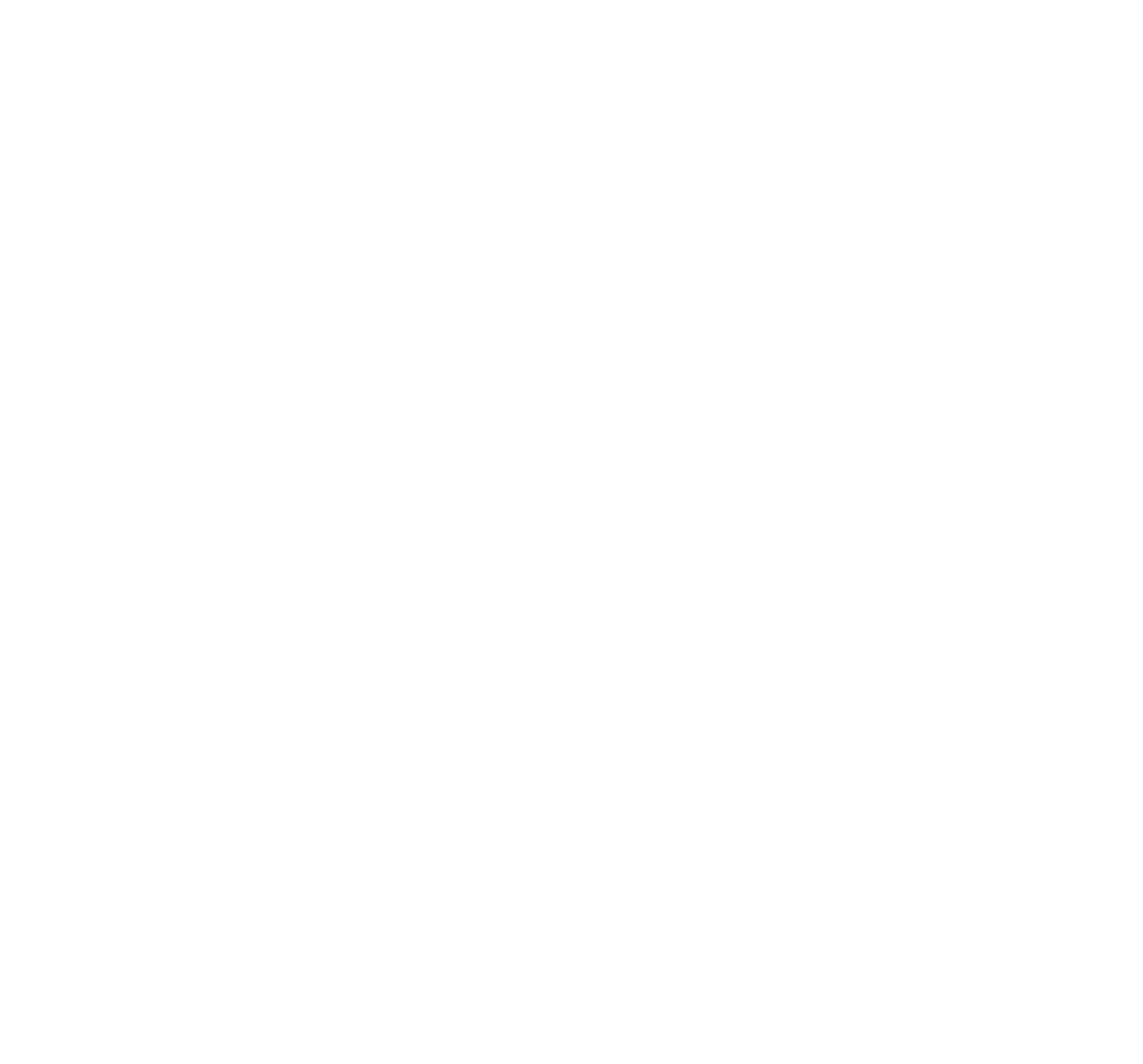 Raemoir Manor Care Home logo